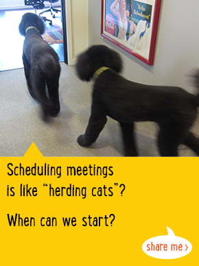 Scheduling meetings is like 'herding cats'? When can we start?