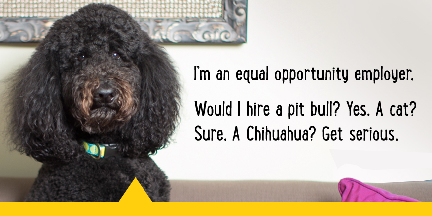 I'm an equal opportunity employer. Would I hire a pitbull? Yes. A cat? Sure. A Chihuahua? Get serious.