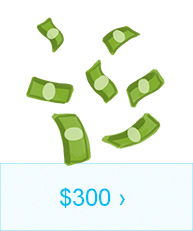 $300