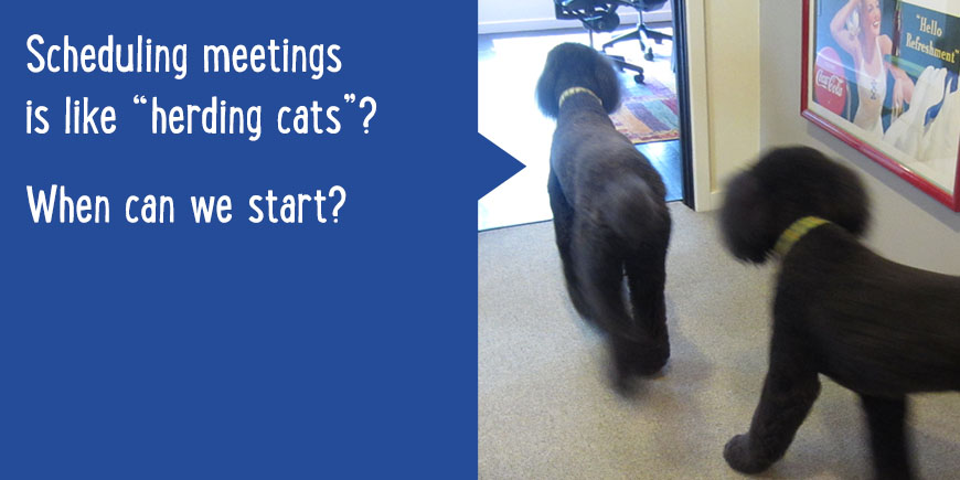 Scheduling meetings is like 'herding cats'? When can we start?