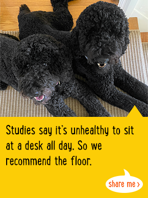Studies say it's unhealthy to sit at a desk all day. So we recommend the floor.