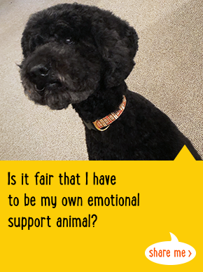 Is it fair that I have to be my own emotional support animal?