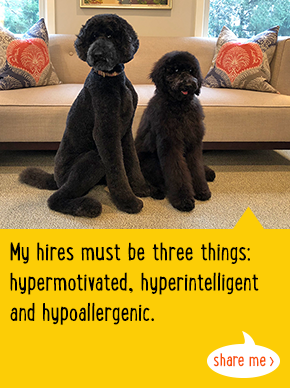 My hires must be three things: hypermotivated, hyperintelligent and hypoallergenic.