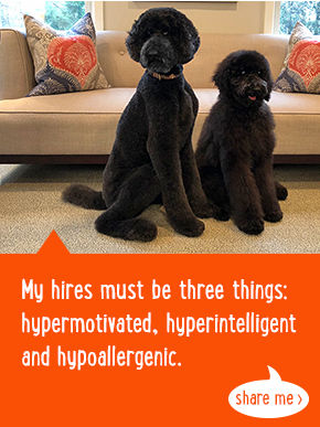 My hires must be three things: hypermotivated, hyperintelligent and hypoallergenic.