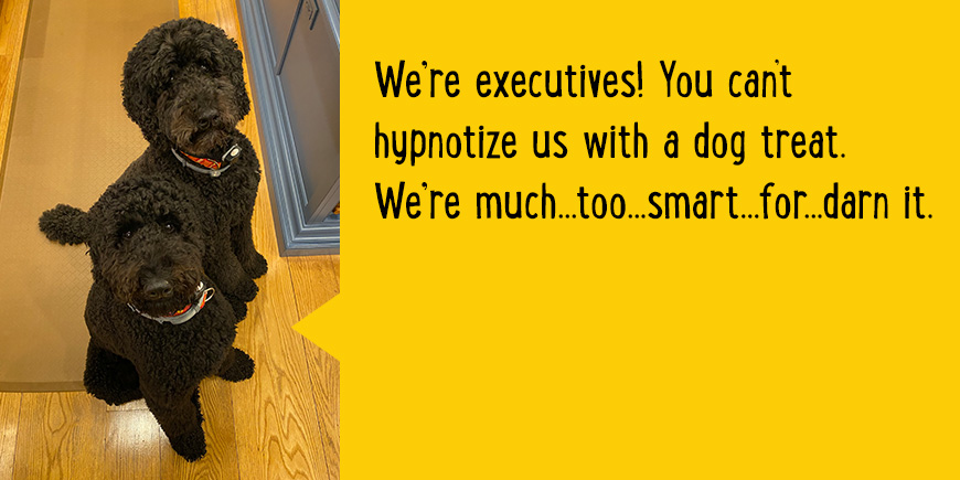 We're executives! You can't hypnotize us with a dog treat. We're much...too...smart...for...darn it.  