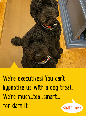 We're executives! You can't hypnotize us with a dog treat. We're much...too...smart...for...darn it. 