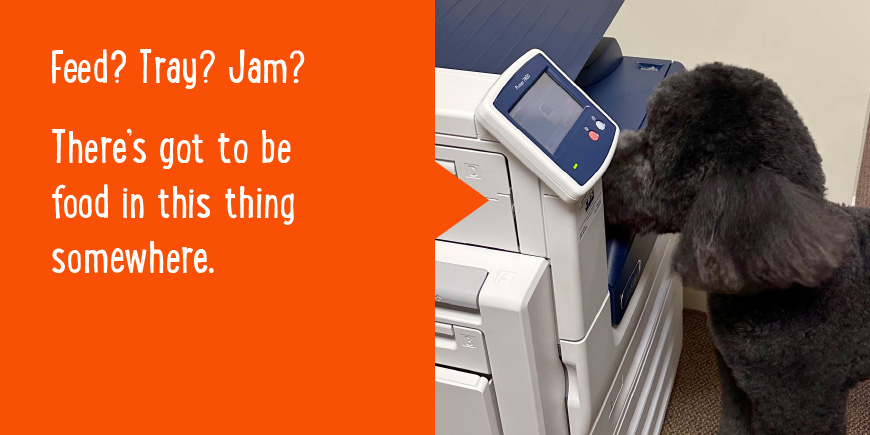 Feed? Tray? Jam? There's got to be food in this thing somewhere.