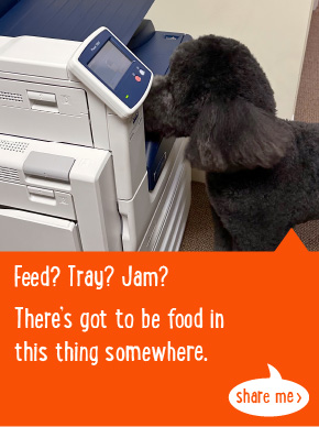 Feed? Tray? Jam? There's got to be food in this thing somewhere.