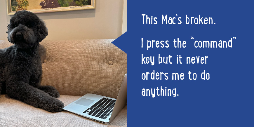 This Mac's broken. I press the 'command' key but it never orders me to do anything.
