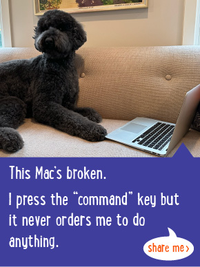 This Mac's broken. I press the 'command' key but it never orders me to do anything.