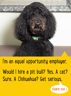 I'm an equal opportunity employer. Would I hire a pitbull? Yes. A cat? Sure. A Chihuahua? Get serious.