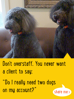 Don't overstaff. You never want a client to say: Do I really need two dogs on my account?