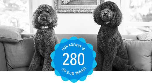 Our agency is 280 (in dog years)